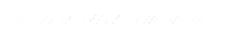 versys1000 versys1000